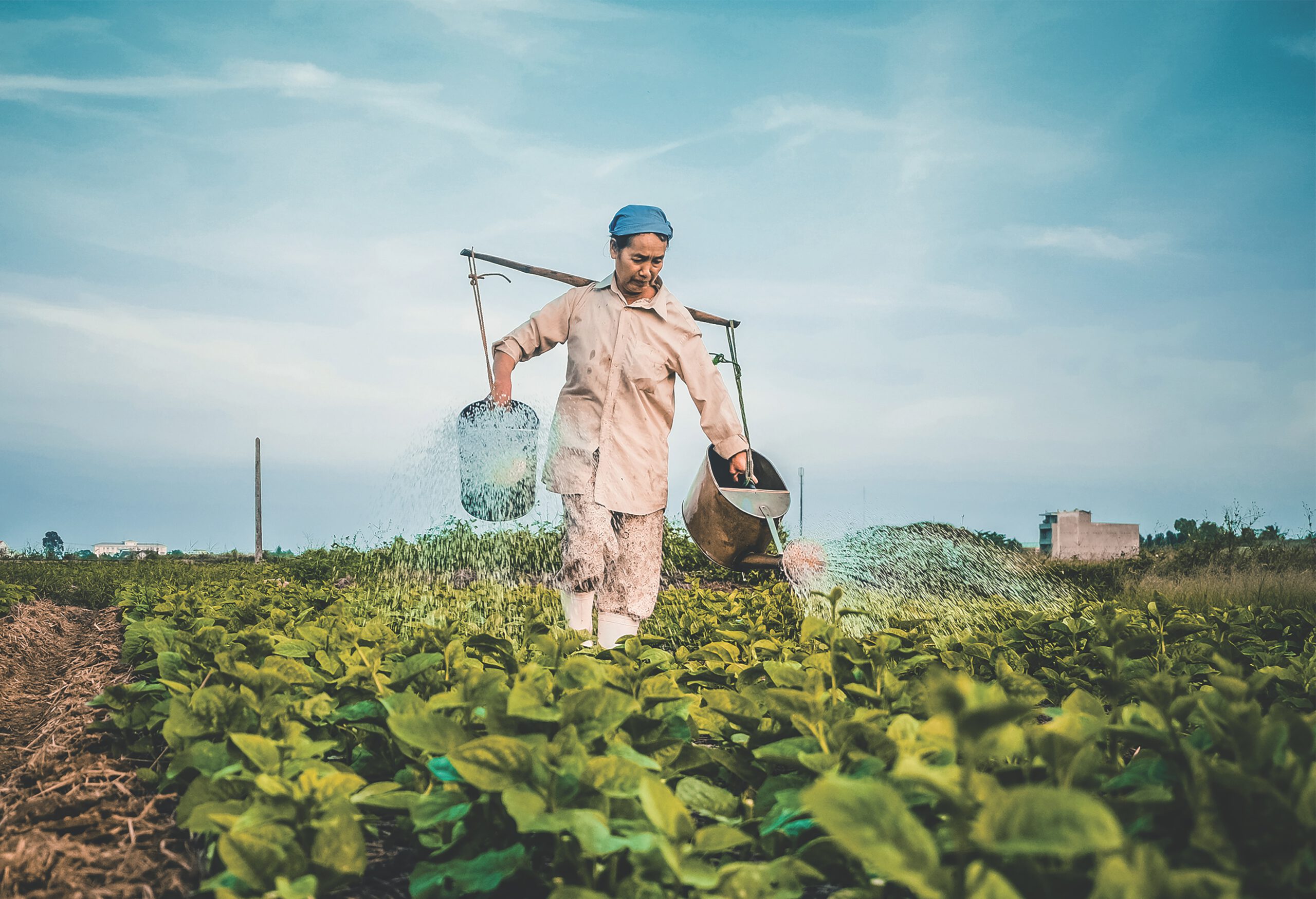 The Future of Farming